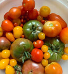 Lammas Jahreskreisfest